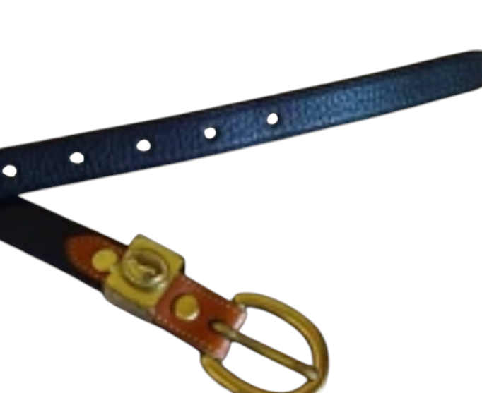 Recycle Me Fancy vintage Dooney & Bourke navy blue leather belt with brass buckle and signature duck logo keeper