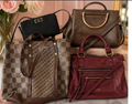 The Girl on the Go Handbag Fancies