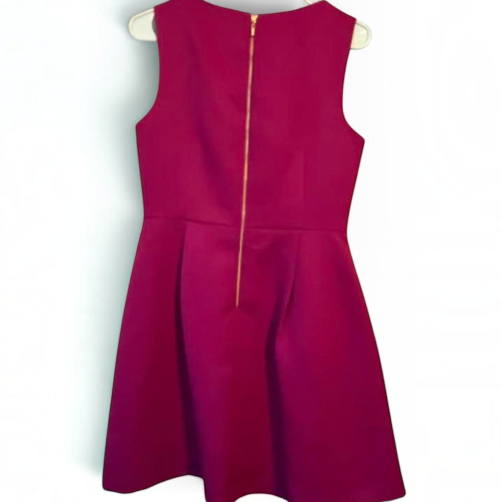 Back view of a magenta sleeveless fit-and-flare dress by Recycle Me Fancy featuring a gold back zipper closure.